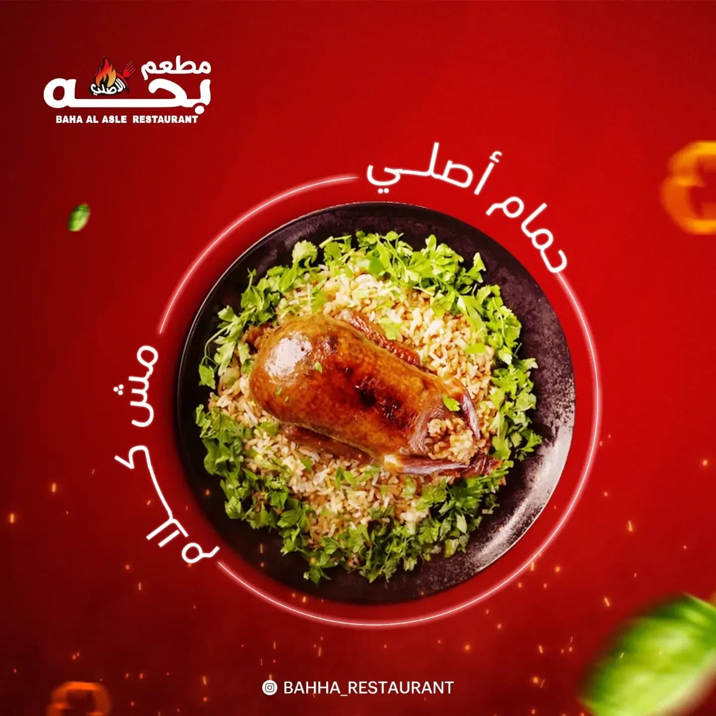 Bahha El Asly · 4