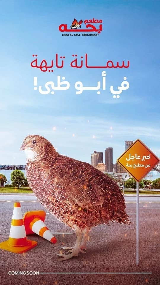 Bahha El Asly · 22